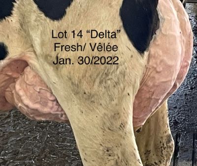 68299