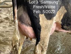 68329