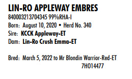75202