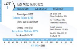 75032