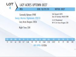 75081