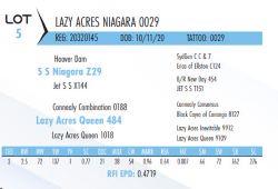 75095