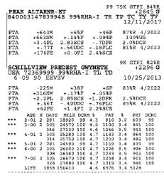 81024