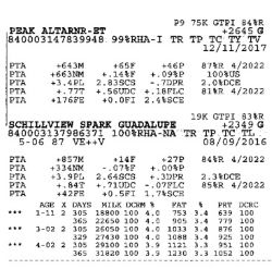 81025