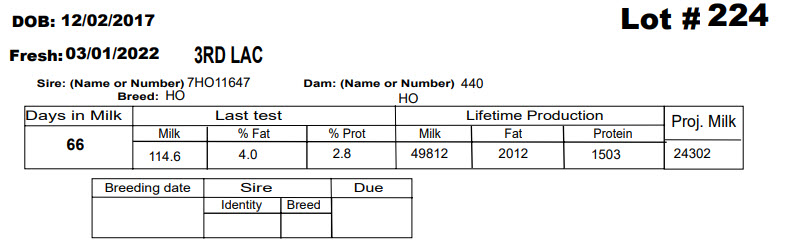 86067