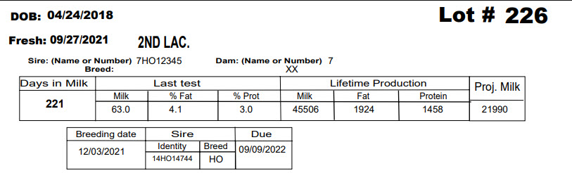 86068