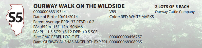 88039