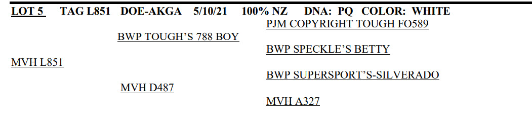 89339