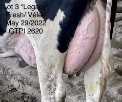 90825