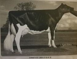 93703