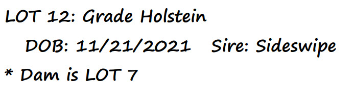 96588