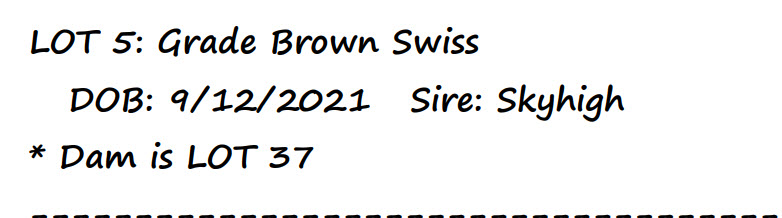 96623