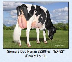 107767