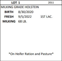 97608