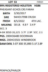 97658