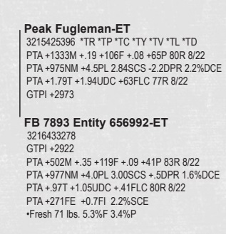 98064