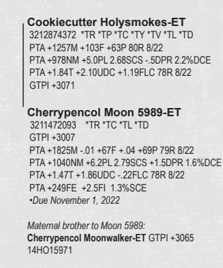 98094