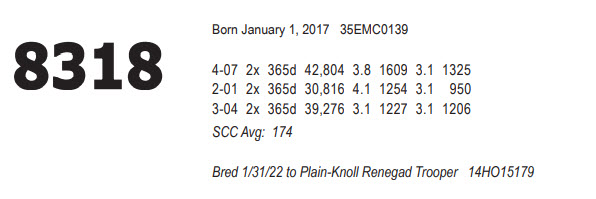 97993