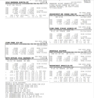 99046