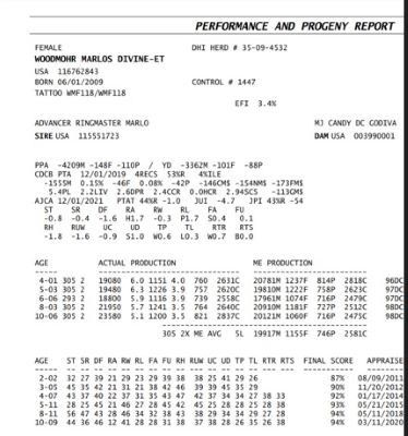 99067