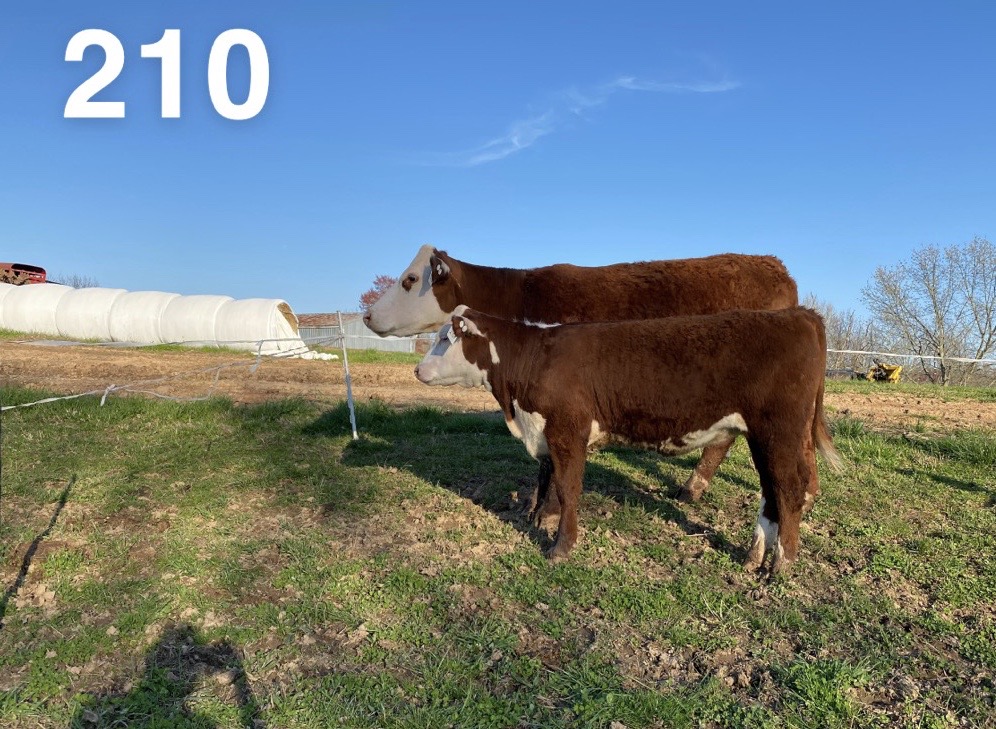 210A-1