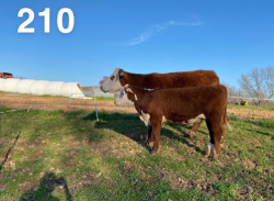 210A-1