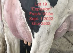 99884