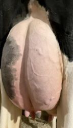 104198