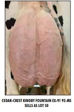 104247