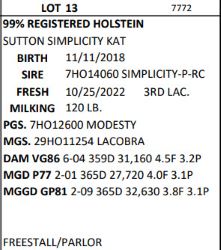 103894