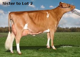 106503