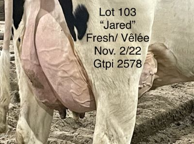 110020
