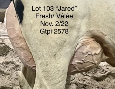 110021