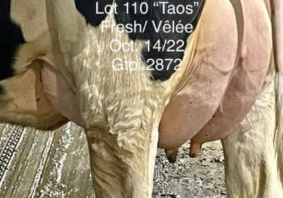 110039