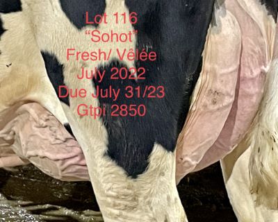 110051