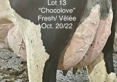 110086