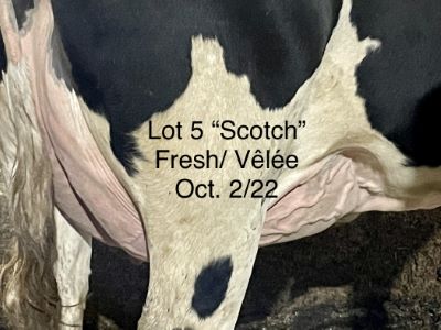110203