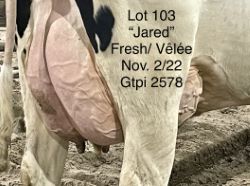 110020