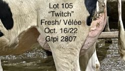110024