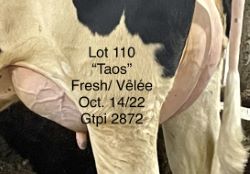 110038
