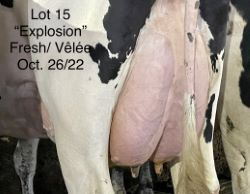 110109