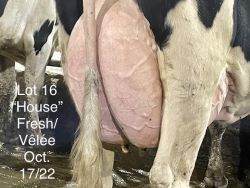 110111