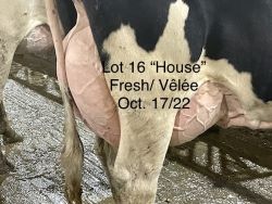 110113