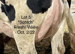 110204