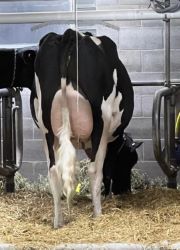 115344