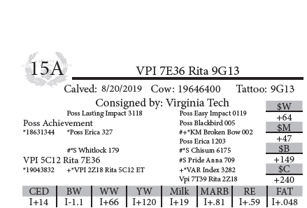 15A-1