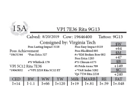 15A-1