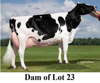 122538