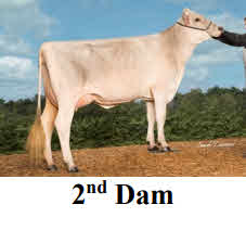 122638