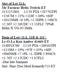 11A-2